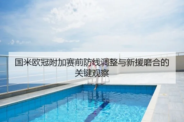 国米欧冠附加赛前防线调整与新援磨合的关键观察